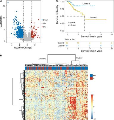 Integrated Profiles Analysis Identified a Coding-Non-Coding Signature for Predicting Lymph Node Metastasis and Prognosis in Cervical Cancer